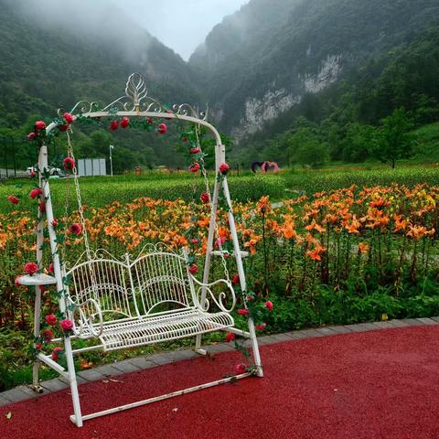 烟雨江湖蜂蜜获取攻略：高效秘籍大公开