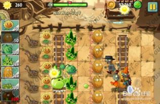 老婆大战胖僵尸平民阵容攻略：打造全新高效战队