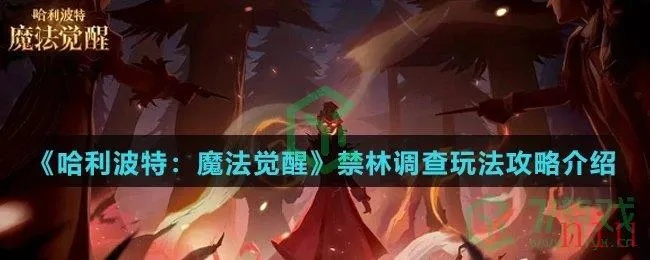 哈利波特觉醒禁林探险攻略:深度解析全新玩法技巧 哈利波特觉醒禁林探险攻略:深度解析全新玩法技巧