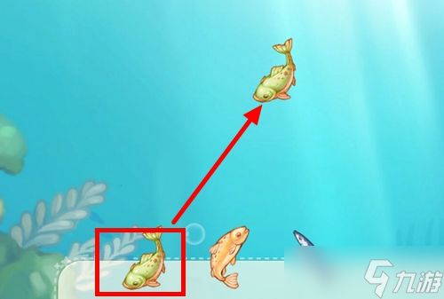 奥比岛手游鱼类加工攻略：高效位置探秘指南