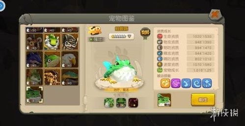 猫之城群攻阵容攻略：打造高效搭配新秘籍