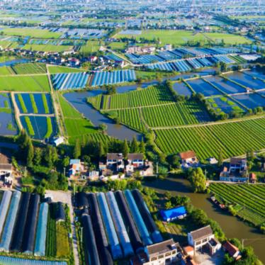 醉莲鲤玩法攻略：一念逍遥深度解析，解锁全新游戏价值