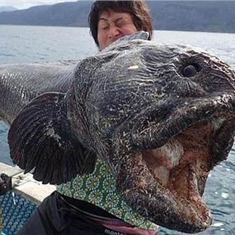 最新战争公约礼包码激活攻略，解锁全新游戏体验