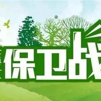 攻略揭秘:轻松通关保卫萝卜4第29关,技巧分享新升级 攻略揭秘:轻松通关保卫萝卜4第29关,技巧分享新升级