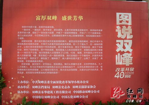 盛世芳华华露红烟紫攻略：解锁全新玩法技巧