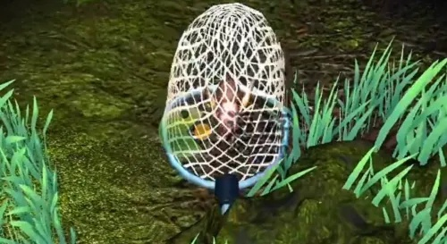 七彩蟋蟀抓捕技巧,夺笋高手必看攻略解析 七彩蟋蟀抓捕技巧,夺笋高手必看攻略解析