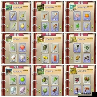 夺笋何首乌人形宝物获取攻略，揭秘独特珍稀获取途径