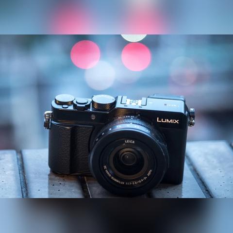 摩尔庄园手游:轻松获取花飞鸟钟攻略秘籍 摩尔庄园手游:轻松获取花飞鸟钟攻略秘籍