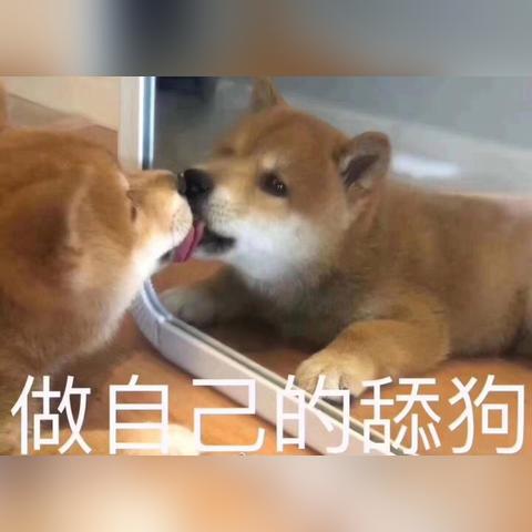 纯白和弦指挥卡选将攻略:解锁指挥阵容新秘籍 纯白和弦指挥卡选将攻略:解锁指挥阵容新秘籍