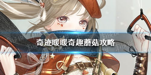 奇迹暖暖蘑菇探险攻略：深度解析玩法技巧，畅玩无忧