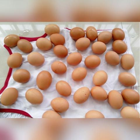 茶叶蛋大冒险镜中世界第8关攻略:轻松通关秘籍大公开 茶叶蛋大冒险镜中世界第8关攻略:轻松通关秘籍大公开