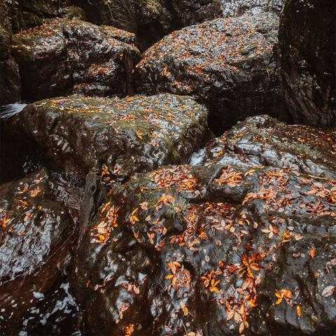 少年探险秘境，独家揭秘游戏币获取攻略