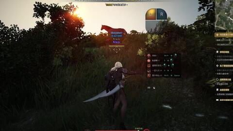 黑色沙漠钓鱼攻略：独家揭秘高效钓点分享