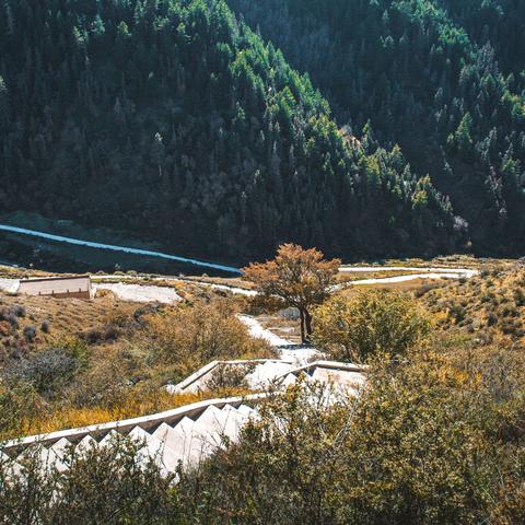 黑珍珠获取攻略：手游《黑色沙漠》高效途径解析