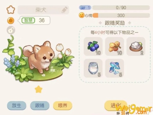 奥比岛梦想国度宠物培养攻略：全面养成技巧解析