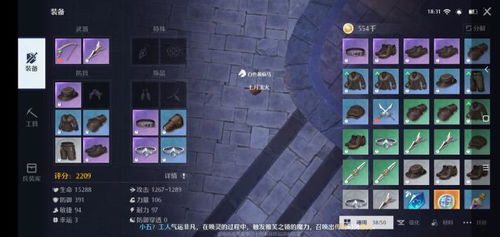 诺亚之心骑士团精准定位攻略，解锁神秘新价值