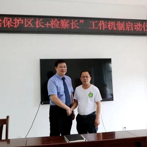 风之试炼特级攻略：诺亚之心高效打法解析秘籍