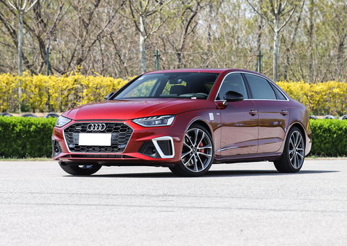 龙之国歌谣选篇挑战答案全解析