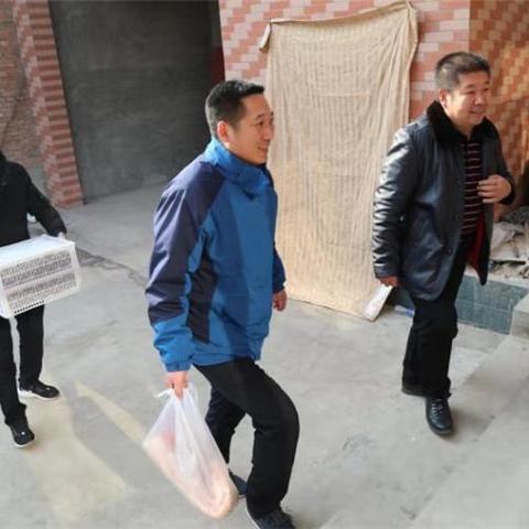 诺亚之心紫菜食谱大揭秘：全方位配方宝典