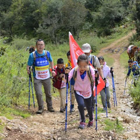 江湖剑式融合秘籍：融汇新攻略，一招制胜之道