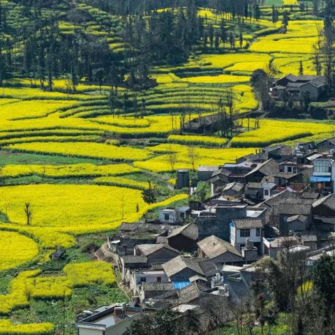 手游宝石镶嵌攻略:庆余年宝石镶嵌技巧深度解析 手游宝石镶嵌攻略:庆余年宝石镶嵌技巧深度解析