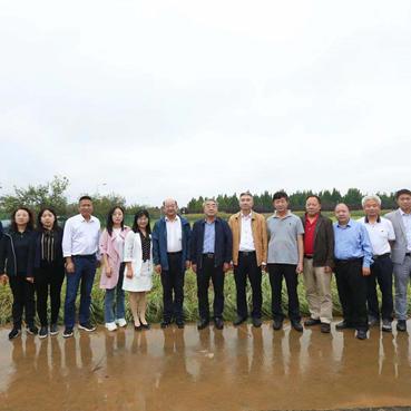 地下城割草强化攻略：高效加点新技巧解析