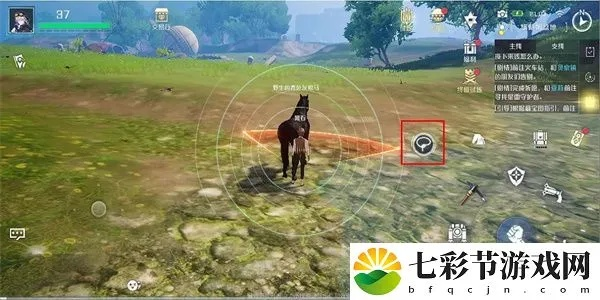 诺亚之心独门秘籍：高效捕捉野马坐骑攻略全解析