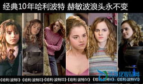 哈利波特觉醒卡组攻略：闪电吼叫赫敏搭配技巧深度解析