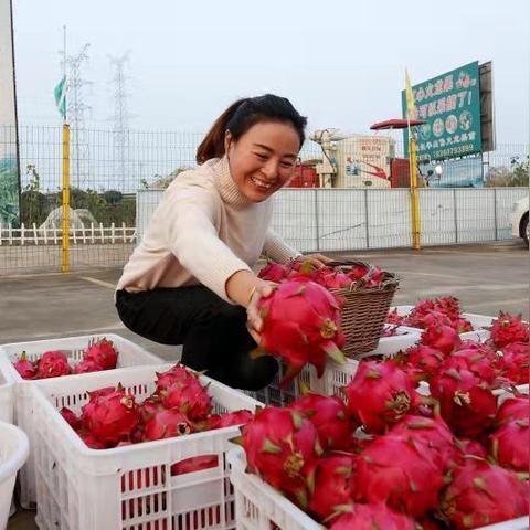 红心角色攻略全解析：深度揭秘可攻略角色魅力点