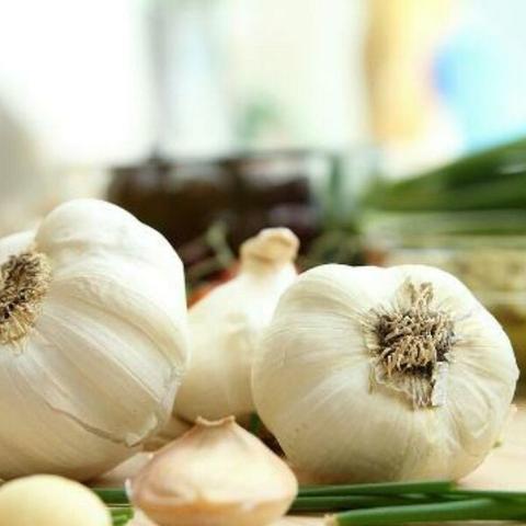 暗队50层通关秘籍:高效攻略助你轻松征服悠久之树 暗队50层通关秘籍:高效攻略助你轻松征服悠久之树