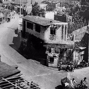 《悠久之树开荒攻略》升级版：高效流程揭秘，新策略助你速成霸主