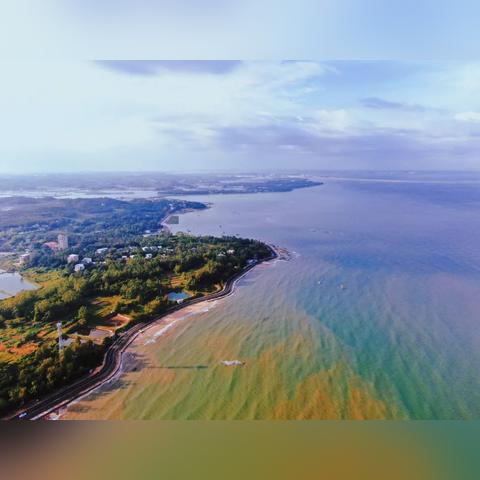 花亦山心之月课程性价比解析：精英课程投资值评估