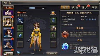 侠客升级秘籍:武林闲侠高效获取攻略解析 侠客升级秘籍:武林闲侠高效获取攻略解析