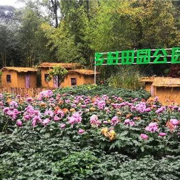 武林闲侠东篱竹林通关秘籍,轻松解锁新境界攻略分享 武林闲侠东篱竹林通关秘籍,轻松解锁新境界攻略分享