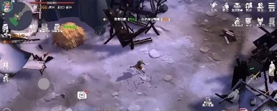 凛风峡谷副本通关攻略：冰原守卫者挑战秘籍大公开