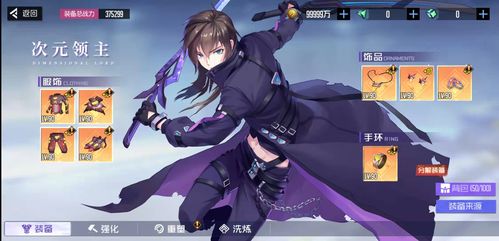 黑月Extend次元领主装备攻略:高效搭配技巧解析 黑月Extend次元领主装备攻略:高效搭配技巧解析