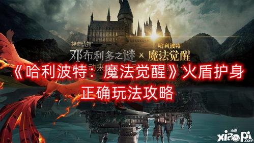 哈利波特觉醒时装攻略：午夜魅影获取秘籍大公开