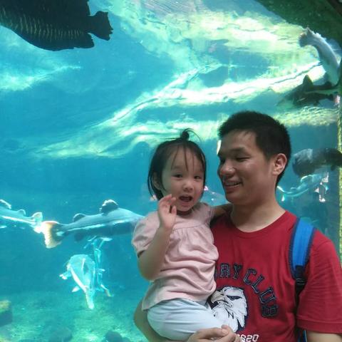 王国保卫战4萌新必看!新手入门攻略全解析,轻松上手攻略秘籍 王国保卫战4萌新必看!新手入门攻略全解析,轻松上手攻略秘籍