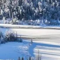 冰原守卫者扭叶树林解锁攻略：解锁条件全解析，畅玩秘境新体验