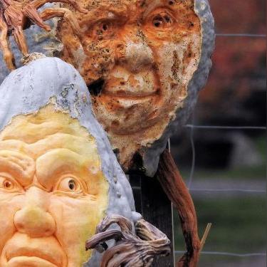 哈利波特魔法觉醒：南瓜馅饼获取攻略详解，轻松解锁新技能