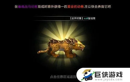 炼金雀坐骑轻松获取攻略，揭秘高效驯养技巧