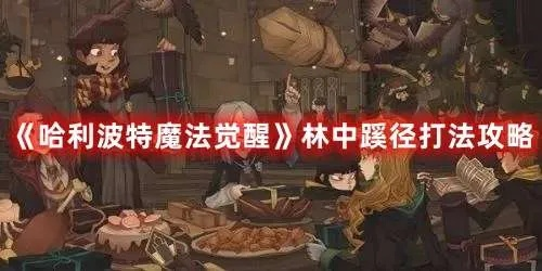 哈利波特觉醒桥段：揭秘森林连接攻略新路径