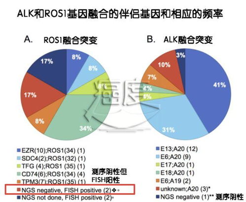 地格熵化液攻略解析:云图计划地形机制深度揭秘 地格熵化液攻略解析:云图计划地形机制深度揭秘