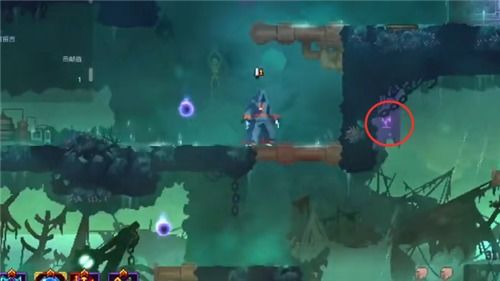 重生细胞不死海滩三扇神秘之门，揭秘生存奥秘与神秘价值