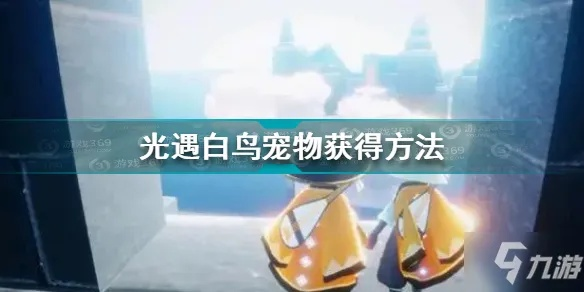 白鸟宠物获取攻略：揭秘高效获取方法一览