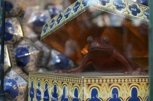 廊桥奇遇：揭秘巧克力蛙背后的魔法觉醒第四日秘境