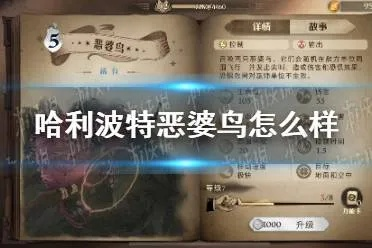 哈利波特觉醒卡牌攻略：恶婆鸟搭配技巧深度解析