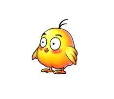 少年小黄鸡养成秘籍：手游宠物培养攻略全解析