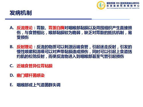 十三号病院磁铁之谜：第五章深度解析，探秘新线索