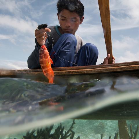 灵魂潮汐约会技巧攻略：解锁浪漫新境界